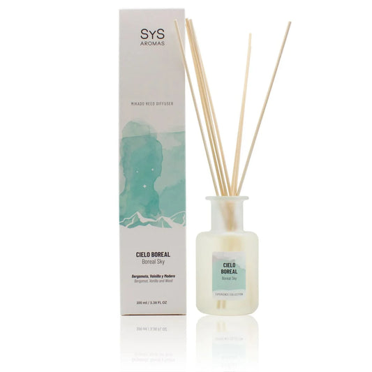 Experience - mikado ambientador 100ML- dulce atardecer